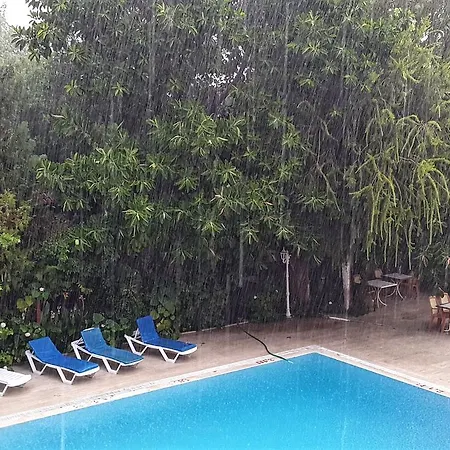 Garden 特基罗瓦