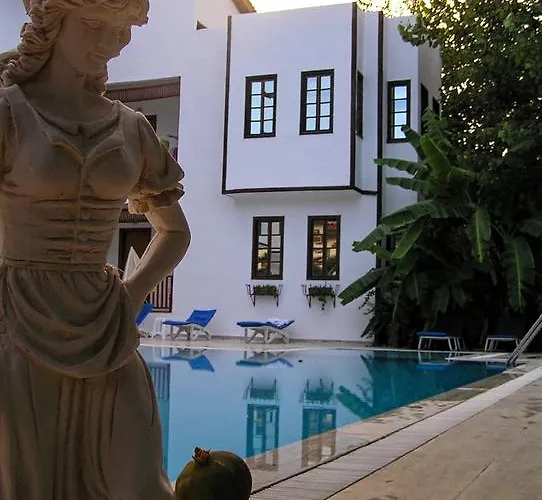 Отель Garden Текирова