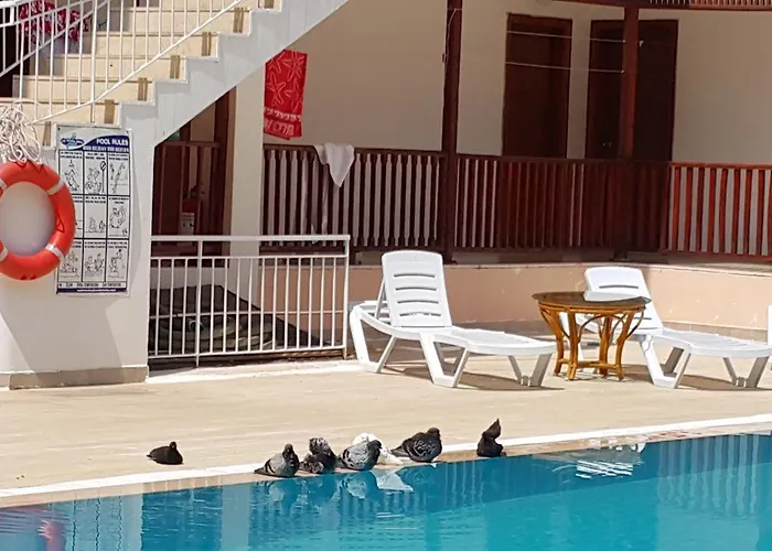 Отель Garden Текирова