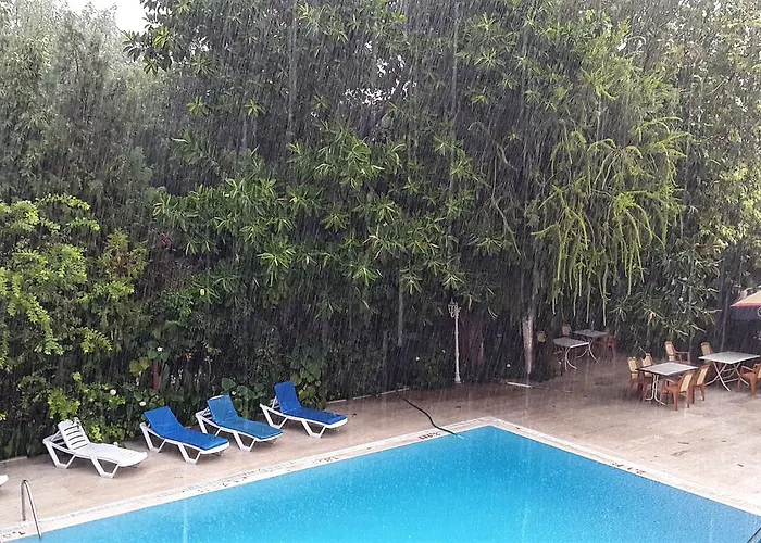 Garden Текирова