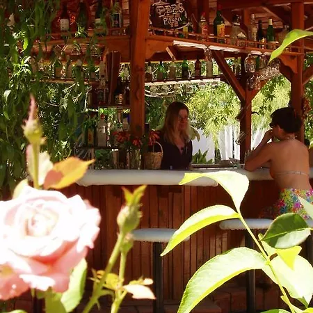 Garden *