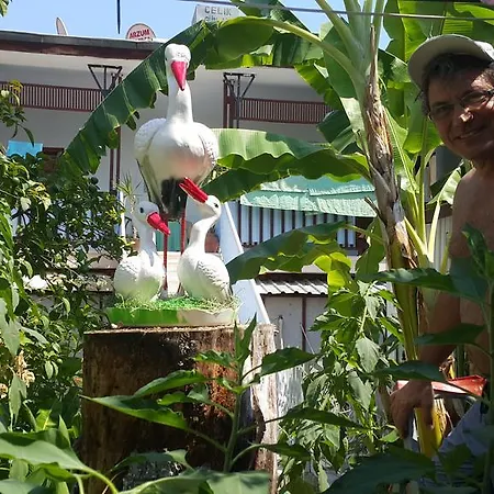 Garden *
